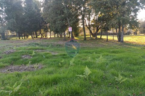 Helårsgrund i Viseu, Viseu, Viseu - € 165.000 | Ref: 1915/V - foto 7