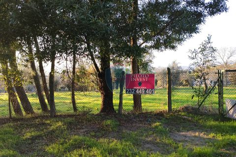 Helårsgrund i Viseu, Viseu, Viseu - € 165.000 | Ref: 1915/V - foto 8