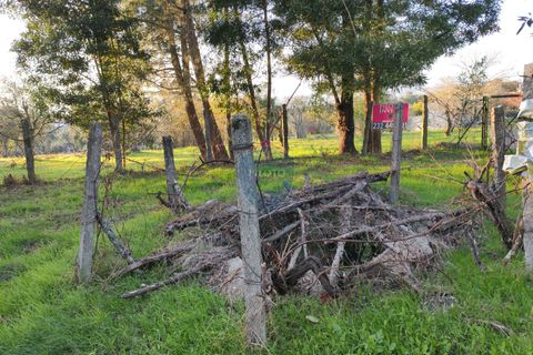 Helårsgrund i Viseu, Viseu, Viseu - € 165.000 | Ref: 1915/V - foto 10