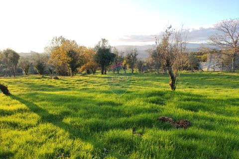 Helårsgrund i Viseu, Viseu, Viseu - € 165.000 | Ref: 1915/V - foto 11