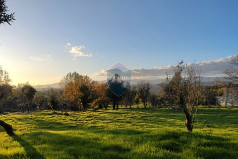 Helårsgrund i Viseu, Viseu, Viseu - € 165.000 | Ref: 1915/V - foto 12