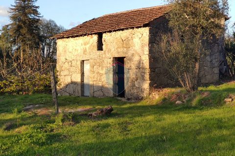 Helårsgrund i Viseu, Viseu, Viseu - € 165.000 | Ref: 1915/V - foto 14