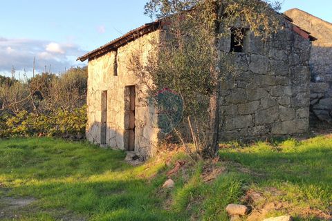Helårsgrund i Viseu, Viseu, Viseu - € 165.000 | Ref: 1915/V - foto 15