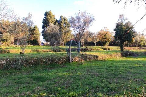Helårsgrund i Viseu, Viseu, Viseu - € 165.000 | Ref: 1915/V - foto 19