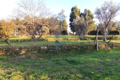 Helårsgrund i Viseu, Viseu, Viseu - € 165.000 | Ref: 1915/V - foto 20