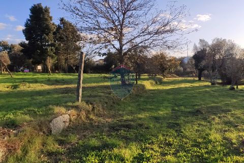 Helårsgrund i Viseu, Viseu, Viseu - € 165.000 | Ref: 1915/V - foto 21