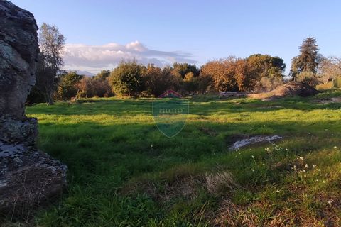 Helårsgrund i Viseu, Viseu, Viseu - € 165.000 | Ref: 1915/V - foto 22