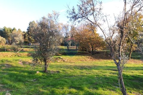 Helårsgrund i Viseu, Viseu, Viseu - € 165.000 | Ref: 1915/V - foto 23