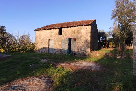Helårsgrund i Viseu, Viseu, Viseu - € 165.000 | Ref: 1915/V - foto 24