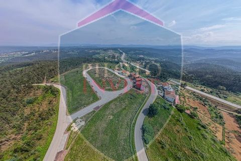 Terra a Penacova, Coimbra, Penacova - € 350.000 | Ref: 2233/V - foto 7