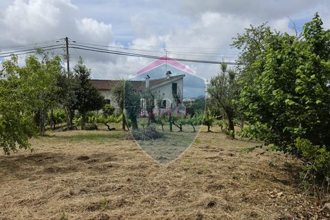 Rækkehus i Viseu, Viseu, Viseu - € 210.000 | Ref: 2236/V - foto 13