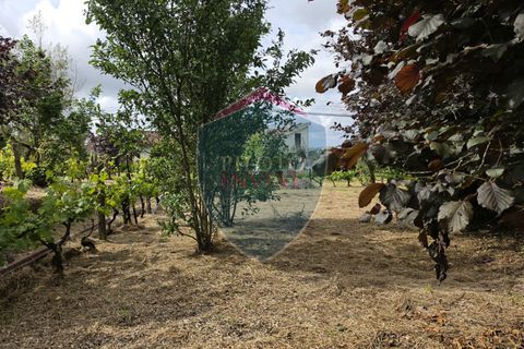 Rækkehus i Viseu, Viseu, Viseu - € 210.000 | Ref: 2236/V - foto 14