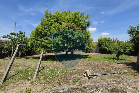 Villa a Viseu, Viseu, Viseu - € 531.000 | Ref: 2237/V - foto 5