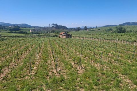 Helårsgrund i Moncao, Viana do Castelo, Moncao - € 20.000 | Ref: SF-SAFTI:008258 - foto 1
