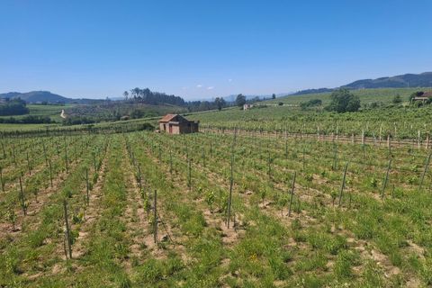 Helårsgrund i Moncao, Viana do Castelo, Moncao - € 20.000 | Ref: SF-SAFTI:008258 - foto 2