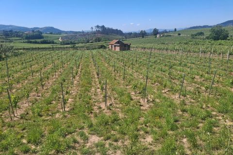 Helårsgrund i Moncao, Viana do Castelo, Moncao - € 20.000 | Ref: SF-SAFTI:008258 - foto 3