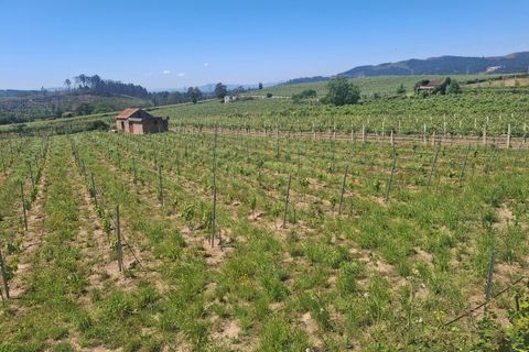 Helårsgrund i Moncao, Viana do Castelo, Moncao - € 20.000 | Ref: SF-SAFTI:008258 - foto 4