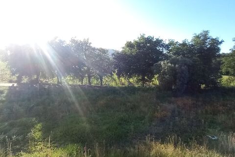 Villa i Ganfei, Viana do Castelo, Ganfei - € 220.000 | Ref: SF-SAFTI:008256 - foto 15