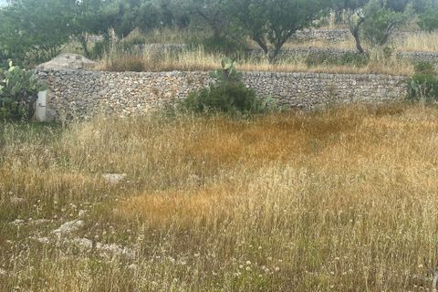 Villa i Ostuni, Brindisi, Ostuni - € 90.000 | Ref: 949 - foto 17