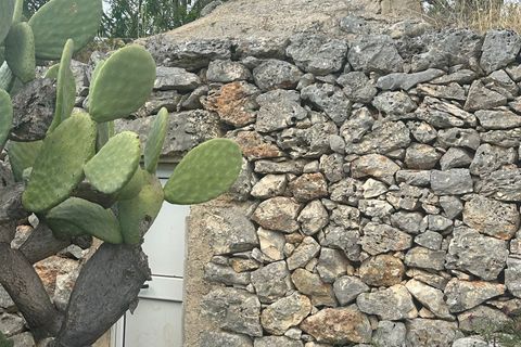 Villa i Ostuni, Brindisi, Ostuni - € 90.000 | Ref: 949 - foto 20