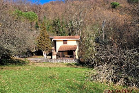 Landejendom i Mulazzo, Massa and Carrara, Mulazzo - € 190.000 | Ref: A343 - foto 4