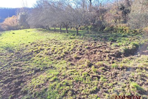 Landejendom i Mulazzo, Massa and Carrara, Mulazzo - € 190.000 | Ref: A343 - foto 8