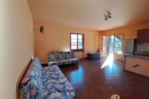 Landejendom i Mulazzo, Massa and Carrara, Mulazzo - € 190.000 | Ref: A343 - foto 18