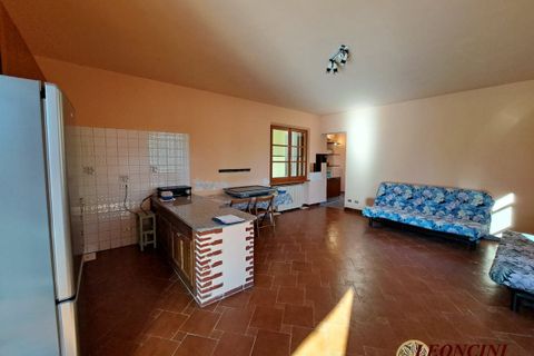 Landejendom i Mulazzo, Massa and Carrara, Mulazzo - € 190.000 | Ref: A343 - foto 20