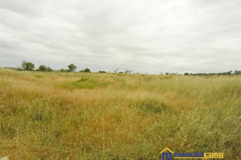 Helårsgrund i Noto, Siracusa, Noto - € 210.000 | Ref: Bufalefi - foto 2
