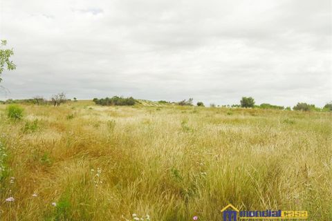 Helårsgrund i Noto, Siracusa, Noto - € 210.000 | Ref: Bufalefi - foto 3