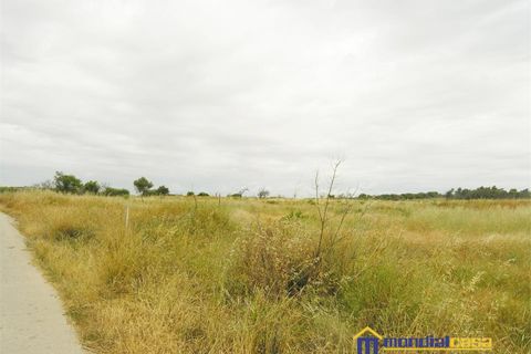 Helårsgrund i Noto, Siracusa, Noto - € 210.000 | Ref: Bufalefi - foto 4