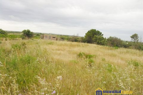 Helårsgrund i Noto, Siracusa, Noto - € 210.000 | Ref: Bufalefi - foto 5