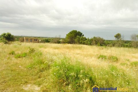Helårsgrund i Noto, Siracusa, Noto - € 210.000 | Ref: Bufalefi - foto 12