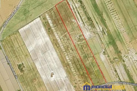 Helårsgrund i Noto, Siracusa, Noto - € 210.000 | Ref: Bufalefi - foto 13