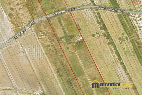 Helårsgrund i Noto, Siracusa, Noto - € 210.000 | Ref: Bufalefi - foto 14