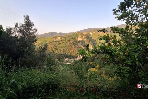 Terra a Rometta, Messina, Rometta - € 14.000 | Ref: VSP341 - foto 4
