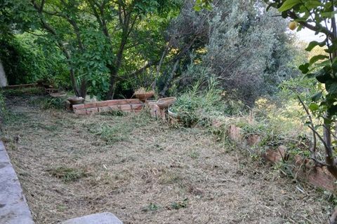 Terra a Rometta, Messina, Rometta - € 14.000 | Ref: VSP341 - foto 6