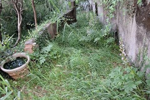 Terra a Rometta, Messina, Rometta - € 14.000 | Ref: VSP341 - foto 8