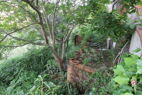 Terra a Rometta, Messina, Rometta - € 14.000 | Ref: VSP341 - foto 9