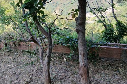 Terra a Rometta, Messina, Rometta - € 14.000 | Ref: VSP341 - foto 11
