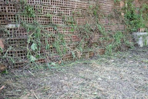 Terra a Rometta, Messina, Rometta - € 14.000 | Ref: VSP341 - foto 15