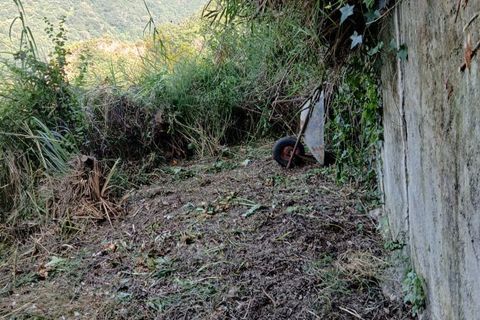 Terra a Rometta, Messina, Rometta - € 14.000 | Ref: VSP341 - foto 18