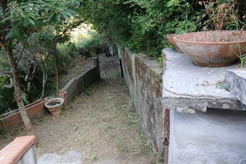 Terra a Rometta, Messina, Rometta - € 14.000 | Ref: VSP341 - foto 20