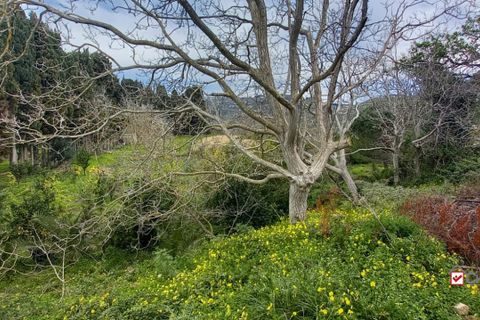 Helårsgrund i Messina, Messina, Messina - € 17.500 | Ref: VS329 - foto 2