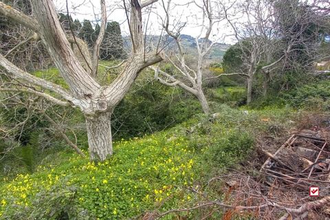 Helårsgrund i Messina, Messina, Messina - € 17.500 | Ref: VS329 - foto 5