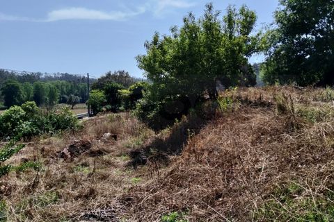 Villa i Alquerubim, Aveiro, Alquerubim - € 56.000 | Ref: AV26/065 - foto 13