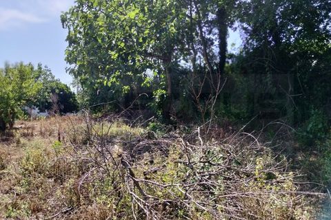 Villa i Alquerubim, Aveiro, Alquerubim - € 56.000 | Ref: AV26/065 - foto 14