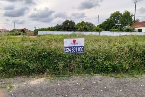 Helårsgrund i Aveiro, Aveiro, Aveiro - € 70.000 | Ref: AV26/060 - foto 3