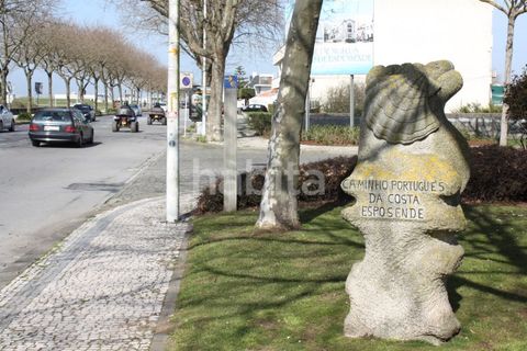 Villa i Esposende, Braga, Esposende - € 2.300.000 | Ref: AG052601 - foto 18