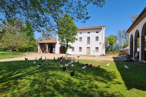 Villa a Riese Pio X, Treviso, Riese Pio X - € 1.150.000 | Ref: MB1604 - foto 15